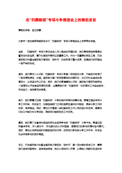 在“扫黑除恶”专项斗争推进会上的表态发言