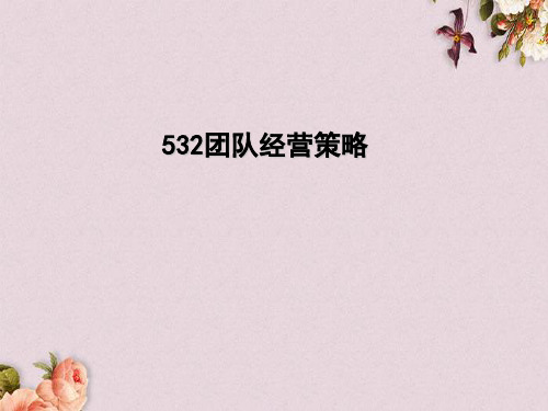 保险公司532团队经营策略(ppt 37页)