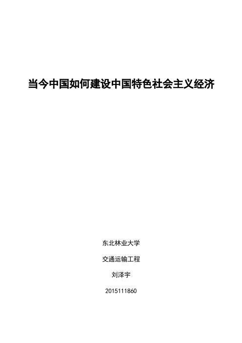 当今中国如何建设中国特色社会主义经济