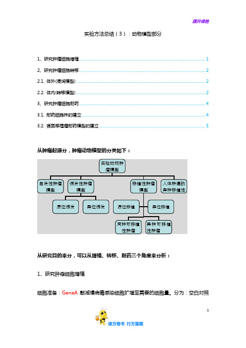 实验方法总结(3)：动物模型部分——【国自然标书写作】