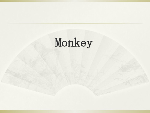 Monkey分析