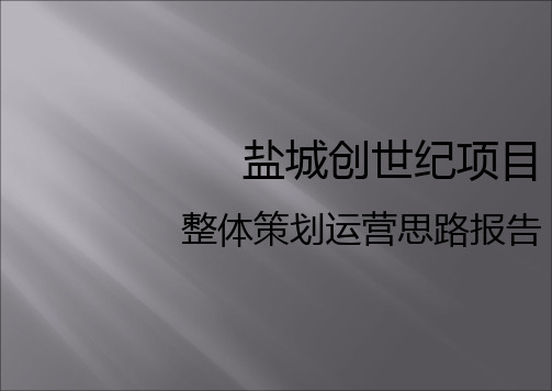 江苏盐城创世纪项目整体策划运营思路报告_139