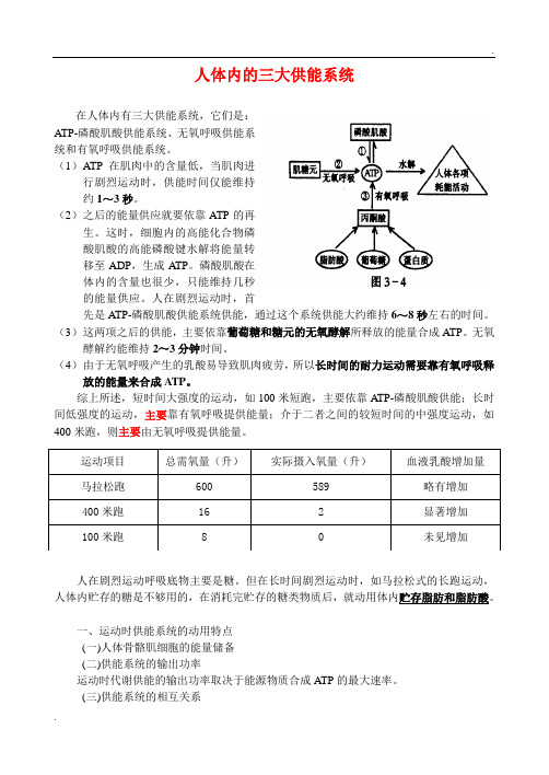 人体三大功能系统