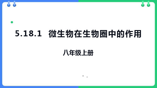 《微生物在生物圈中的作用》PPT优质课件