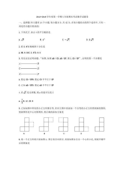 河北省邢台市2018-2019学年八年级上期末考试数学试题(无答案)