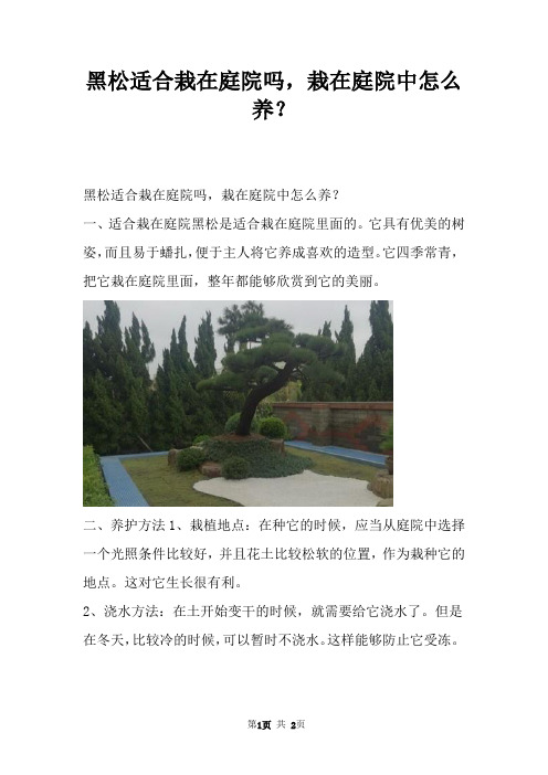 黑松适合栽在庭院吗，栽在庭院中怎么养？