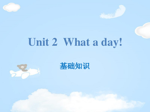 《What a day!》基础知识PPT【优质课件】