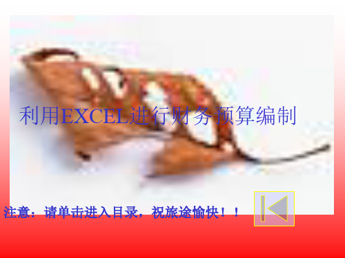 利用EXCEL进行财务预算编制(ppt+26)