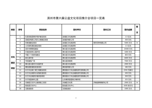 滨州市第六届公益文化项目推介会项目一览表