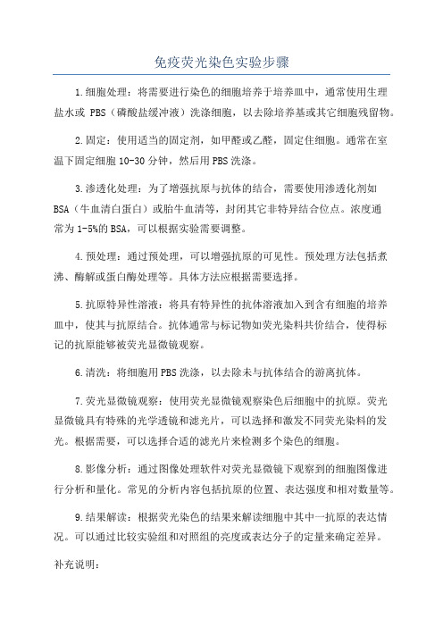 免疫荧光染色实验步骤