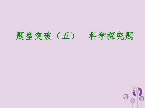 2018届中考化学专题复习题型突破五科学探究题课件新人教版201901161140