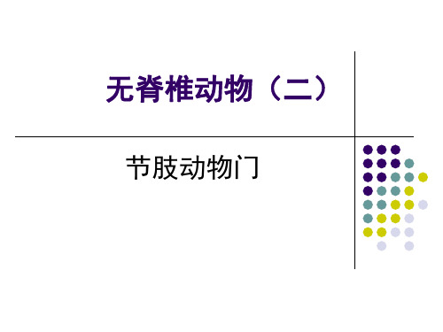 节肢动物资料