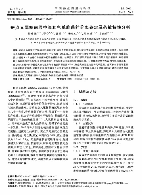 斑点叉尾鮰病原中温和气单胞菌的分离鉴定及药敏特性分析