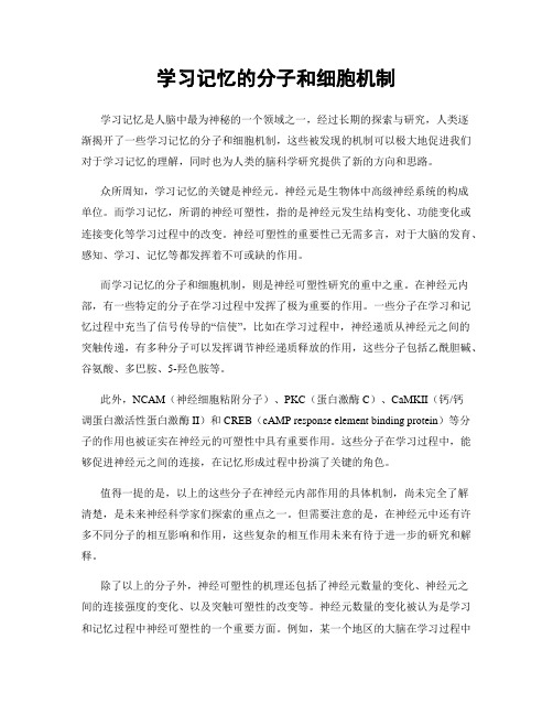 学习记忆的分子和细胞机制