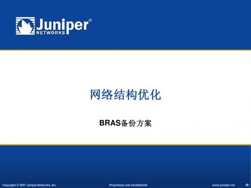 广东电信城域域网优化交流--BSR (NXPowerLite)