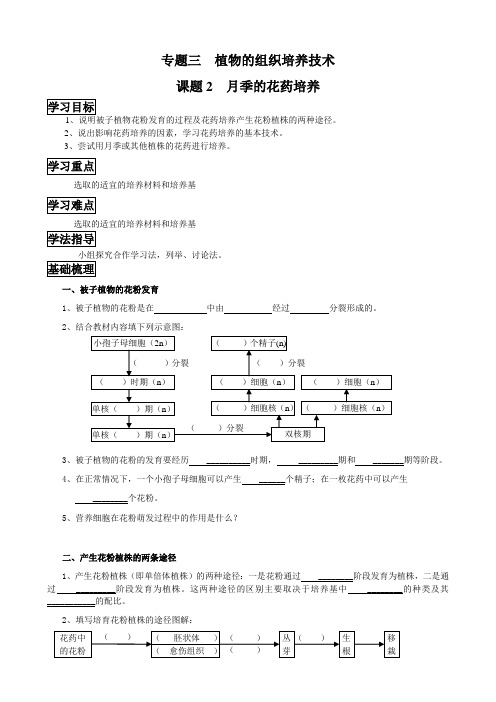 人教版生物选修一3.2月季的花药培养标学案设计无答案
