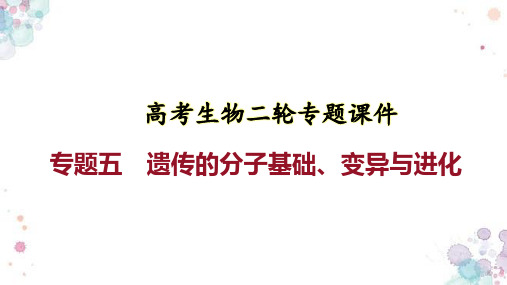 高考生物二轮专题课件：专题五 遗传的分子基础、变异与进化