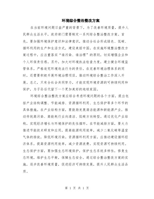 环境综合整治整改方案