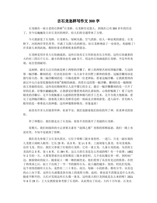 古石龙怎样写作文300字