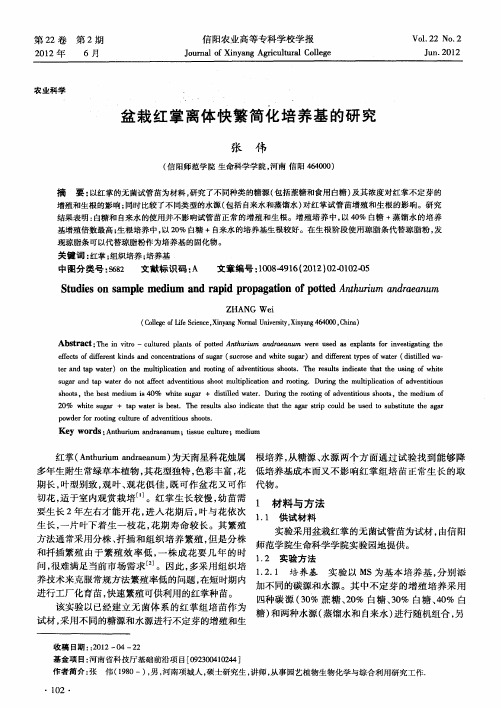 盆栽红掌离体快繁简化培养基的研究