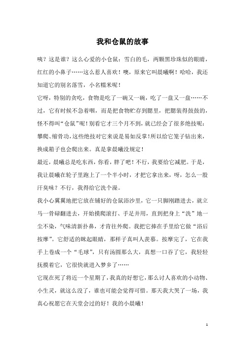 我和仓鼠的故事