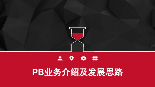 PB业务介绍及发展思路 PPT