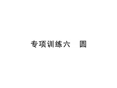 冀教版九年级数学下册习题课件：专项训练六 圆(共21张PPT)