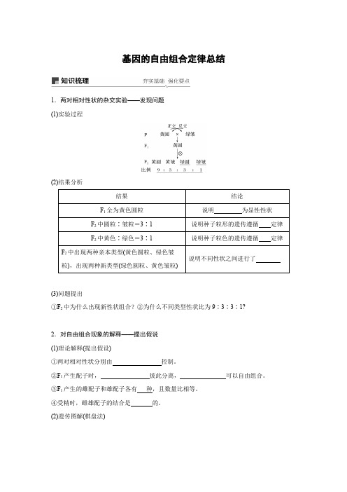 高中生物必修二基因的自由组合定律