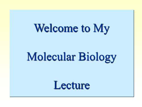 分子生物学  第一章