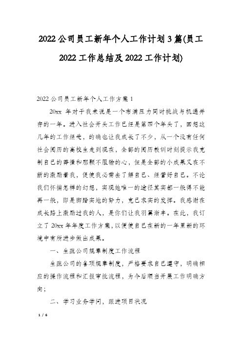 2022公司员工新年个人工作计划3篇(员工2022工作总结及2022工作计划)