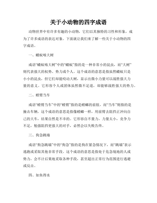 关于小动物的四字成语