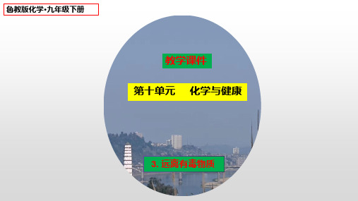 10-3远离有毒物质 课件—2022-2023学年九年级化学鲁教版下册 