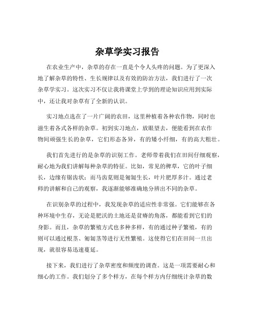 杂草学实习报告