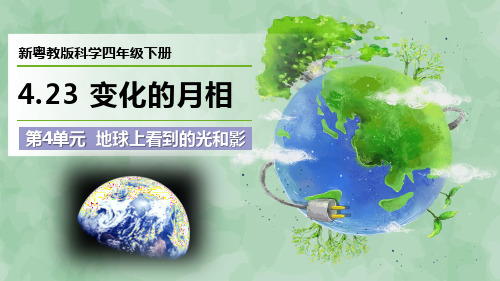 新粤教版科学四年级下册第4单元 地球上看到的光和影《变化的月相》优质课件