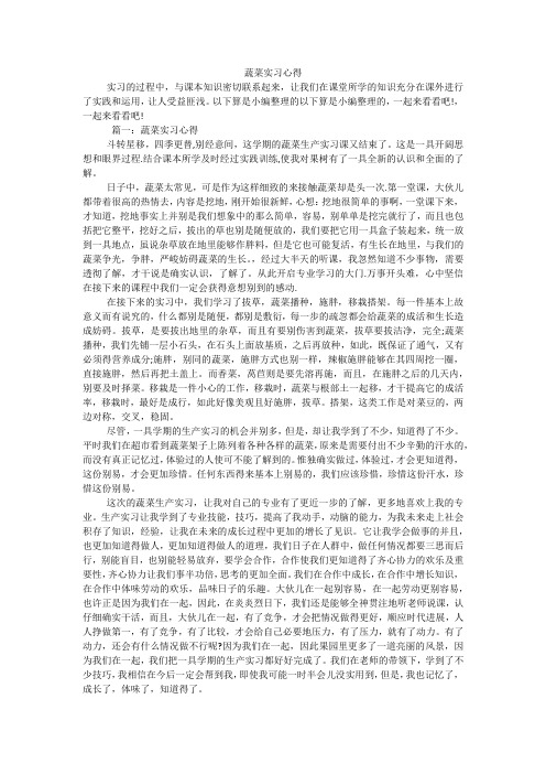 蔬菜实习心得