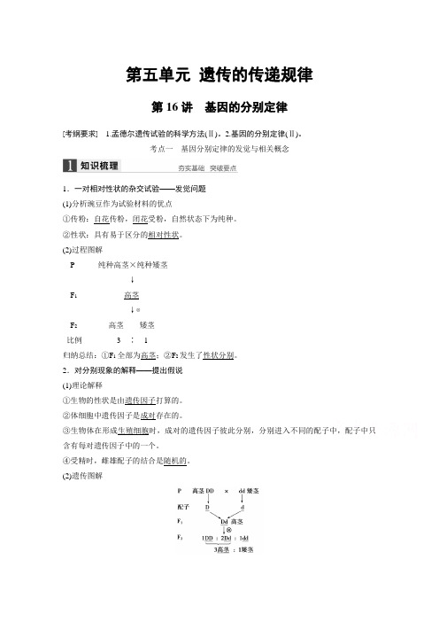 2022届高考生物大一轮总复习(苏教版,文科) 第五单元 遗传的传递规律 第16讲 基因的分离定律