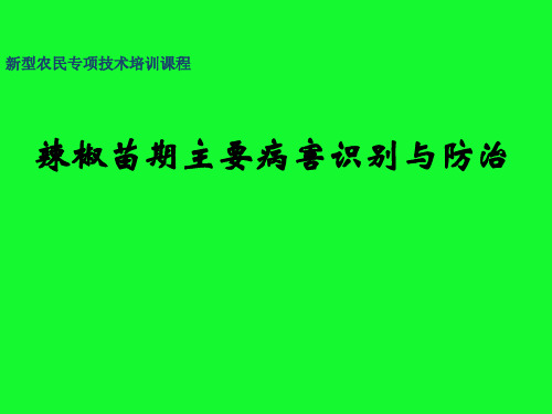 辣椒苗期主要病害及防治技术