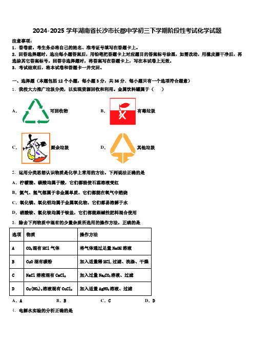 2024-2025学年湖南省长沙市长郡中学初三下学期阶段性考试化学试题含解析