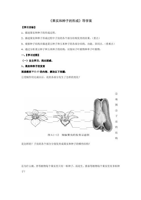 果实和种子的形成导学案