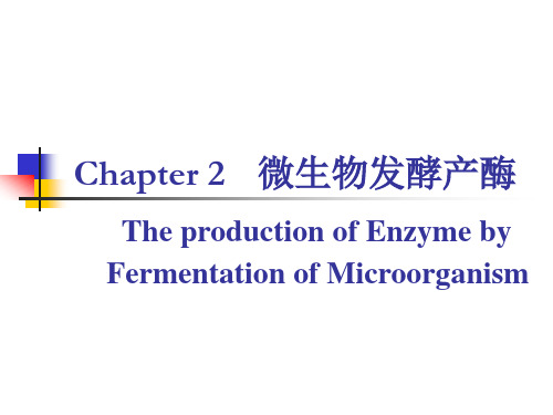 2微生物发酵产酶