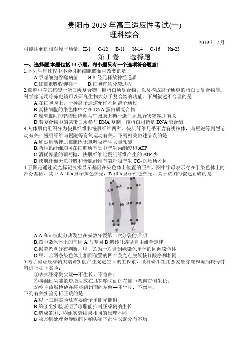 贵州省贵阳市2019届高三下学期适应性考试(一)理科综合试题