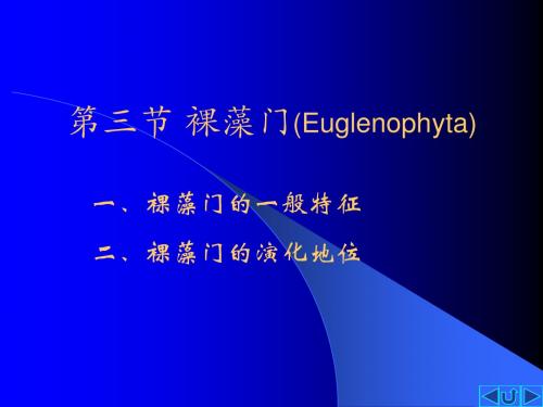 裸藻门(Euglenophyta)