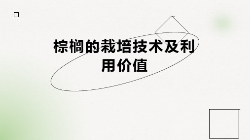 棕榈的栽培技术及利用价值