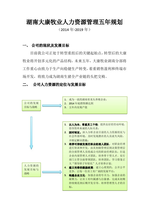 人力资源五年规划