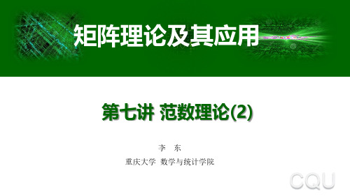 矩阵理论及其应用(重大版第七讲课件)