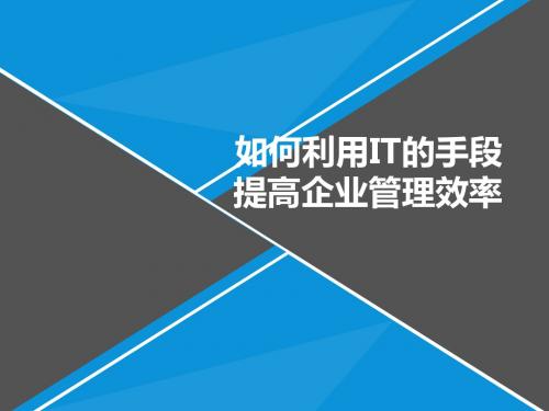 如何利用IT的手段提高企业管理效率PPT(共 49张)