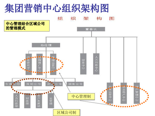 营销中心组织架构