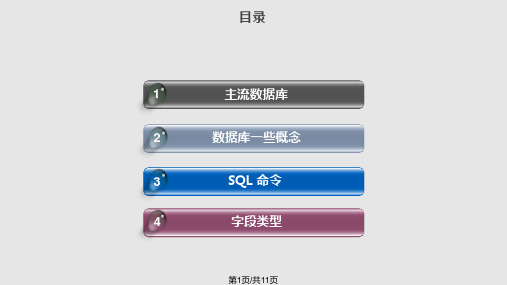 数据库基本概念及字段类型详解PPT课件