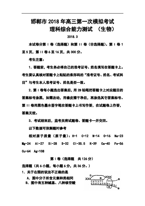 2018届河北省邯郸市高三第一次模拟考试生物试题及答案  精品推荐