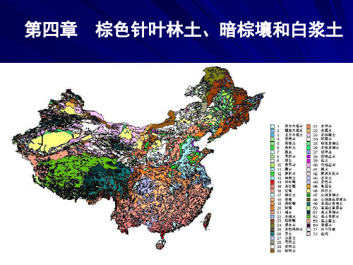 04(棕色针叶林土、暗棕壤和白浆土)